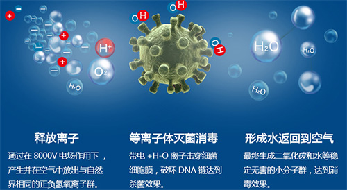 医用空气消毒机品牌厂家_等离子体消毒机_手术室层流空气消毒机_动态循环风空气消毒机_幼儿园学校空气净化消毒机_中央空调空气消毒机-广东龙8国际